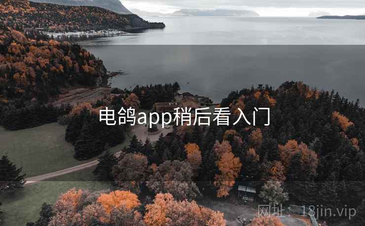 电鸽app稍后看入门 第2张 电鸽app稍后看入门 第2张