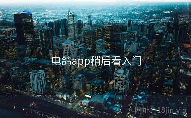 电鸽app稍后看入门 第1张 电鸽app稍后看入门 第1张