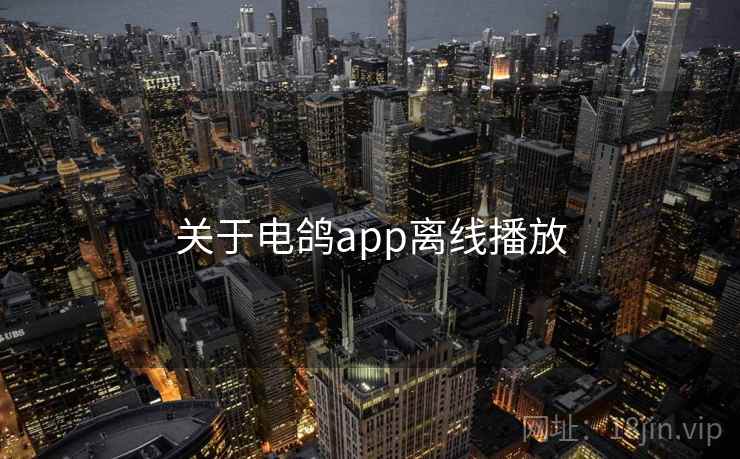 关于电鸽app离线播放 第2张 关于电鸽app离线播放 第2张