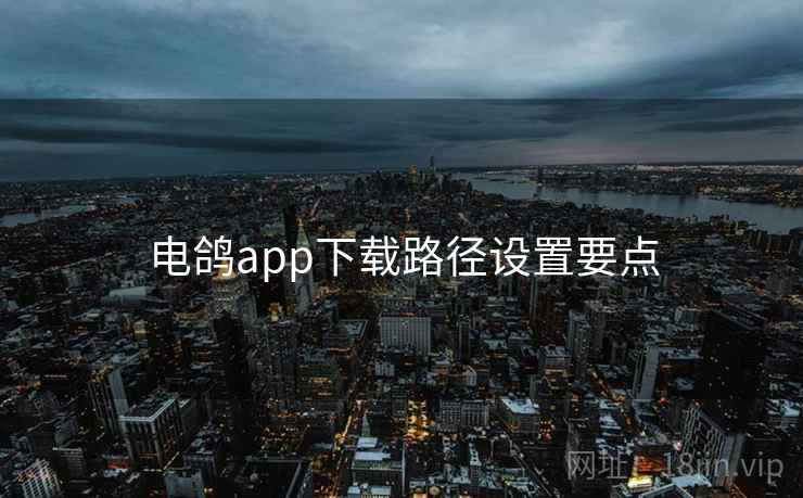 电鸽app下载路径设置要点 第1张 电鸽app下载路径设置要点 第1张