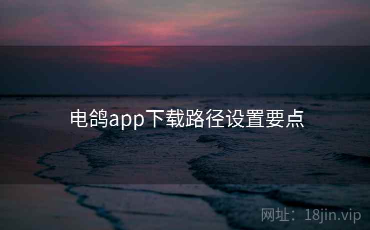 电鸽app下载路径设置要点 第2张 电鸽app下载路径设置要点 第2张