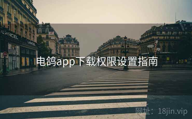 电鸽app下载权限设置指南 第2张 电鸽app下载权限设置指南 第2张