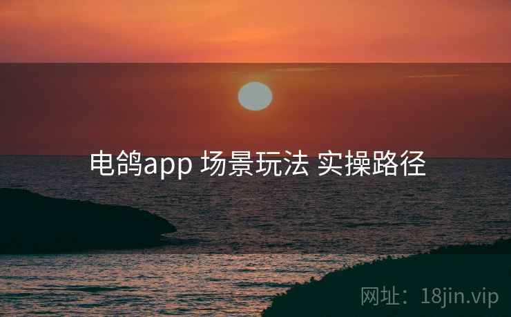 电鸽app 场景玩法 实操路径 第2张 电鸽app 场景玩法 实操路径 第2张