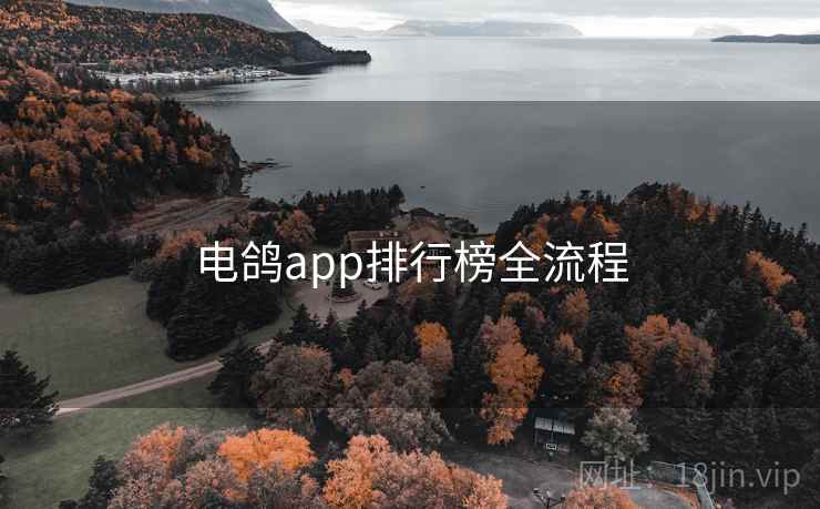 电鸽app排行榜全流程 第1张 电鸽app排行榜全流程 第1张